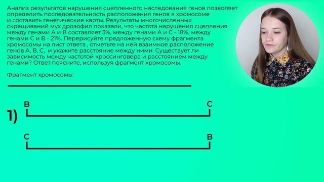 Самое простое задание 22 из реального ЕГЭ по биологии на максимальный балл смотреть онлайн