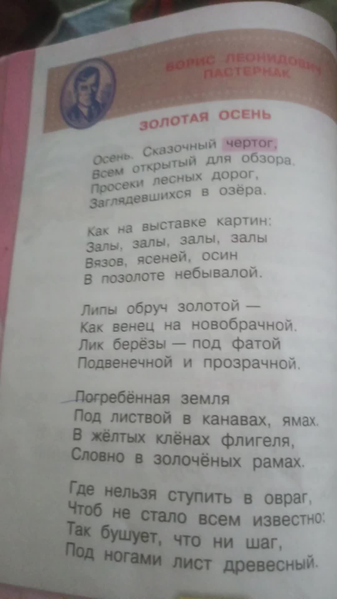 мелстрой