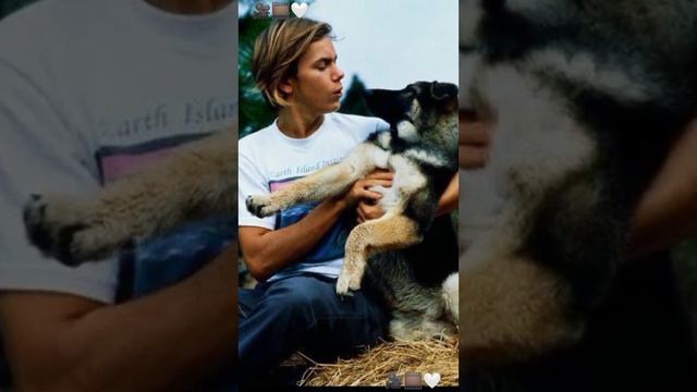 Ривер Феникс River Phoenix Phoenix 80s 90s 🎥🎞️🤍 смотреть онлайн