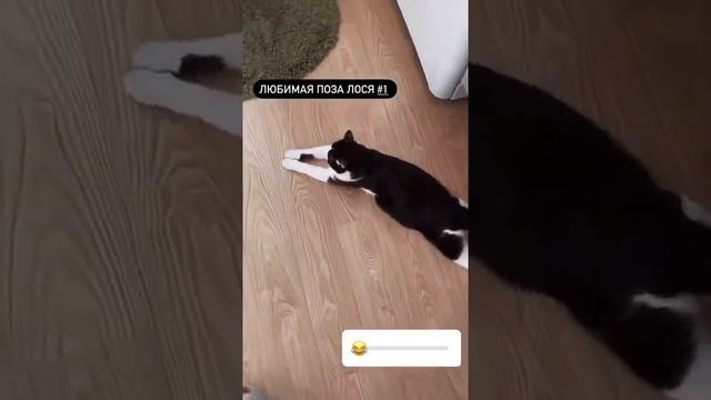 Кишмиш дома 1 смотреть онлайн