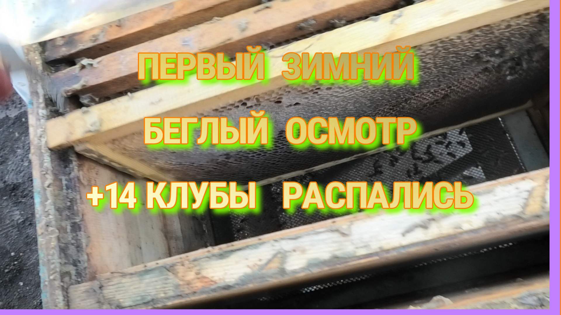ПЕРВЫЙ ЗИМНИЙ БЕГЛЫЙ ОСМОТР +14 КЛУБ РАСПАЛСЯ,ПОДМОР,КОРМА. смотреть онлайн