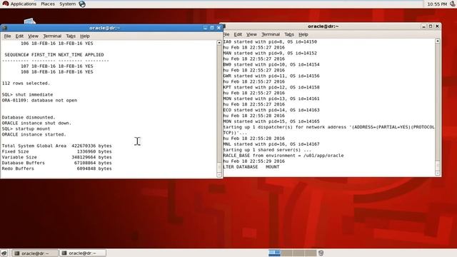 Oracle 11g Data Guard Configuration - active DG part-9 смотреть онлайн