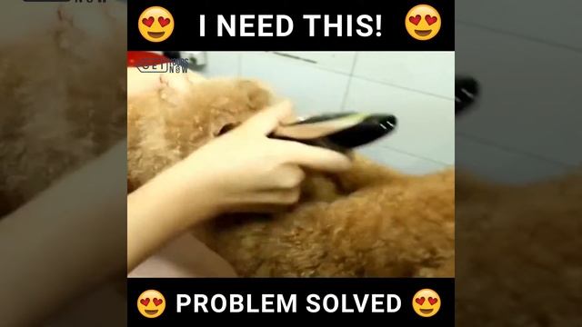PROTrimmer™ : Home Trimmer and Groomer смотреть онлайн