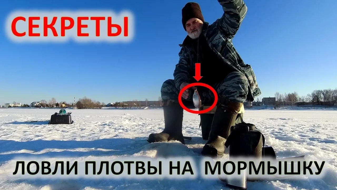 Рыбалка. Ловим живца. Ловля плотвы зимой. смотреть онлайн