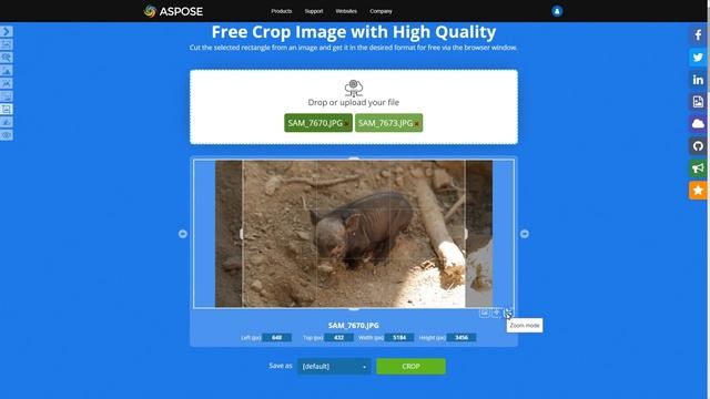 Aspose.Imaging Crop смотреть онлайн