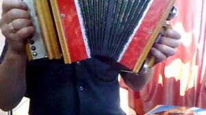 Гармонь Саратовская с колокольчиками.