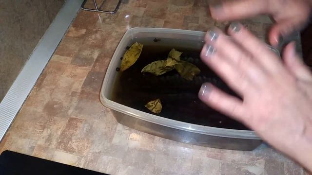 Солим скумбрию и селёдку к Новому Году!(#еда #вкусно #просто #рецепты) смотреть онлайн