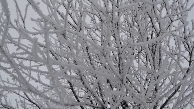 Зима в деревне. Снежная мелодия смотреть онлайн