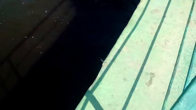 Рыбалка. Река Обь. Щука 4 КГ. смотреть онлайн