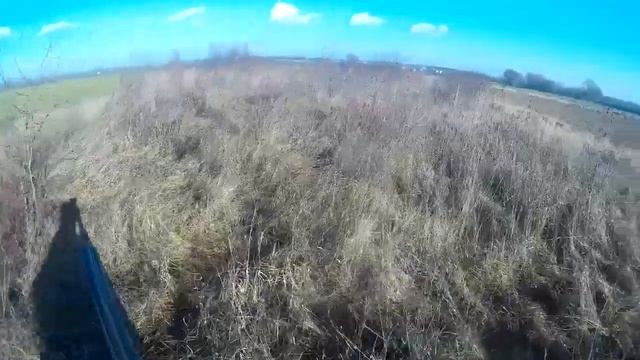 Охота на зайца 2019. Красивый подъем, досадный промах смотреть онлайн