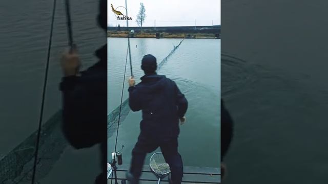 Рыболовный клуб ФИШКА БЕРЕГ, ждет гостей приезжайте ловите! Здесь рыба есть! смотреть онлайн