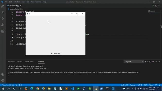 Creating a Screenshot Taker in Python | Python Project | Techno Programmatic смотреть онлайн