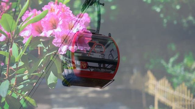 Nikon D3100 images [part 4] - 40 f/2.8 Micro lens [4K] смотреть онлайн