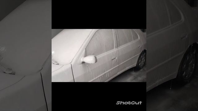Lavado Premium Peugeot 306 смотреть онлайн