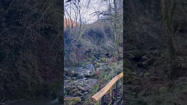 Мужской монастырь Крестовая пустынь в горах Сочи 03.01.23 смотреть онлайн