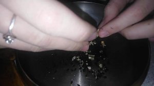 КАК ВЫГЛЯДИТ ЧЁРНЫЙ ТМИН, КАК ВЫРАСТИТЬ ЧЁРНЫЙ ТМИН?