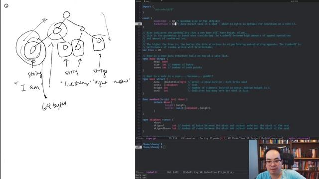 How Hard Can It Be? Writing a LSP Server, Episode 3a - Ropes and Skiplists смотреть онлайн