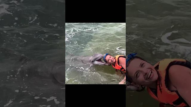 Поцелуй с дельфином