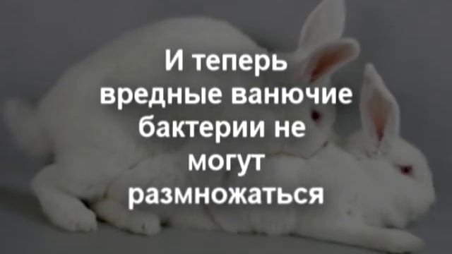 Квасцы жженые для ВАС смотреть онлайн