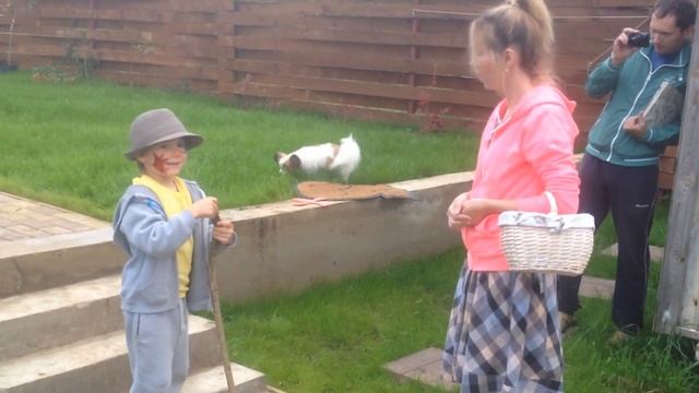 Волшебник изумрудного города смотреть онлайн