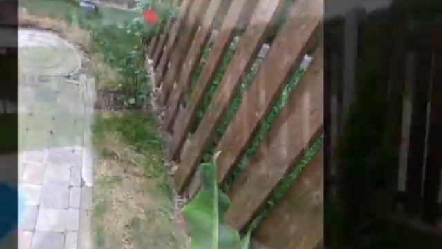 Ландшафтный дизайн, озеленение, пруды, фонтаны. смотреть онлайн