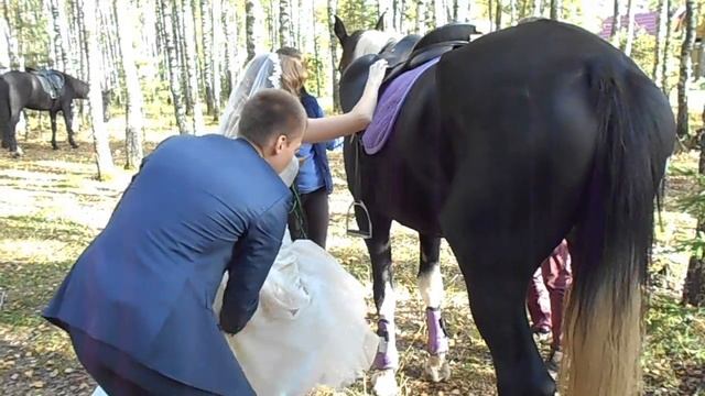 Как правильно забраться на лошадь в свадебном платье(инструкция для невест) смотреть онлайн