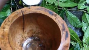 мальчики дикари выживание в лесу готовим большую курицу и кушаем