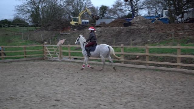 3 SPICY PONIES! CHRISTMAS JUMPING AT MY FRIENDS HOUSE * LOTS OF PONY SWAPS! * смотреть онлайн