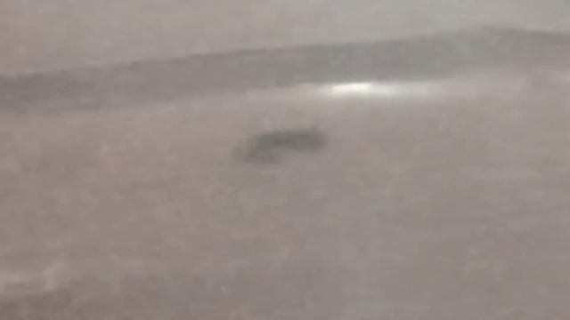 Фанерные DIY проекты - создаем что-то новое!