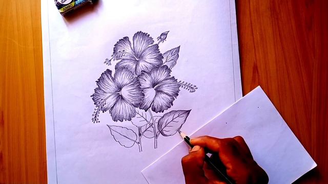 Hibiscus flower essay drawing #pencil #drawing April 11, 2023 смотреть онлайн