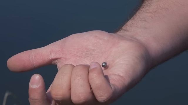 Как ловить ОКУНЯ ВЕСНОЙ - типы снастей и проводки на спиннинг смотреть онлайн