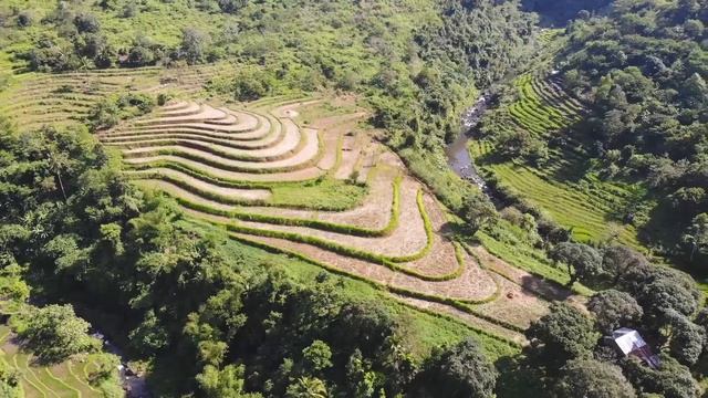 Медитация Золотая Энергия Рейки. Раскрываем природный энергетический центр Энергетический центр Хар смотреть онлайн