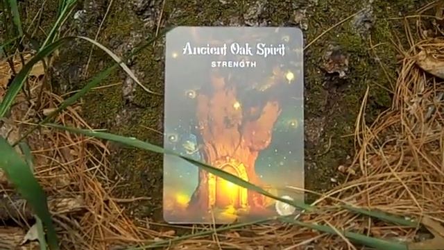 A Guided Meditation on Ancient Oak Spirit смотреть онлайн