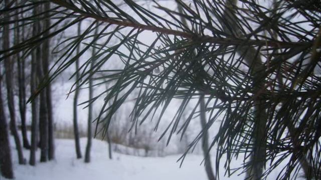 Зимний Сясьстрой смотреть онлайн