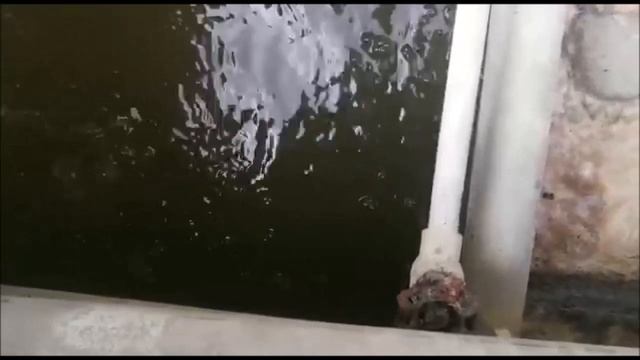 Подробный рассказ владельца об  очистке и эксплуатации септика Тверь