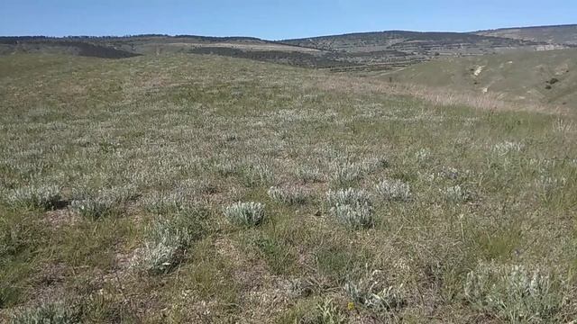 Место Силы "приятие". смотреть онлайн