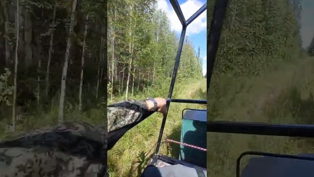 покатушки на вездеходе тунгус смотреть онлайн
