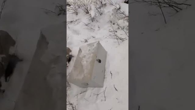 Обзор Трубчатого Дизельного Молота Starke +79122410318 смотреть онлайн