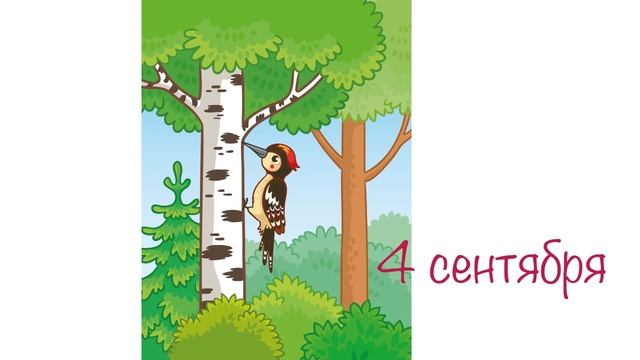 Зачем дятел стучит по дереву? | Кристаллики добрых мыслей смотреть онлайн