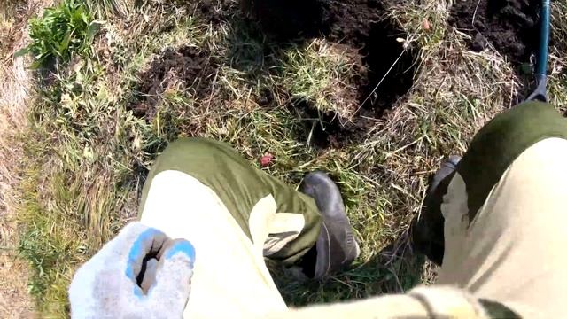Эквинокс 800. Железа мало. Но я не отчаиваюсь