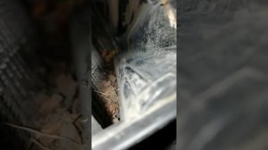 Замена салонного фильтра на Ниссан Жук