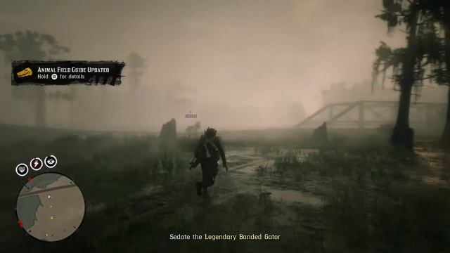 RED DEAD REDEMPTION ONLINE funny moments #1 смотреть онлайн