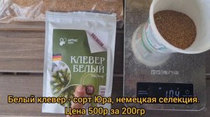 Сажаем клевер поверх травы. Клевер вместо газонной травы. Сравниваем белый клевер сорт Юра и Лифлек