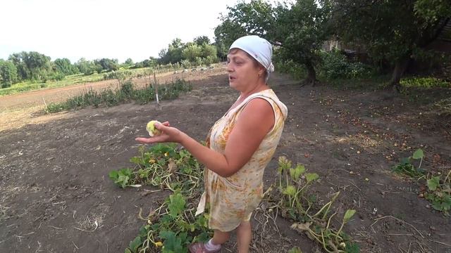 VLOG ПРИЕХАЛ В ГОСТИ К МАМЕ смотреть онлайн