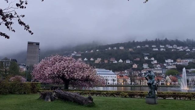 Берген обычный и необычный. Сакура, рыбный рынок и жизнь в норвежском городе. смотреть онлайн