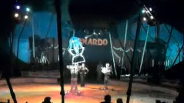Arnardo 2010 смотреть онлайн