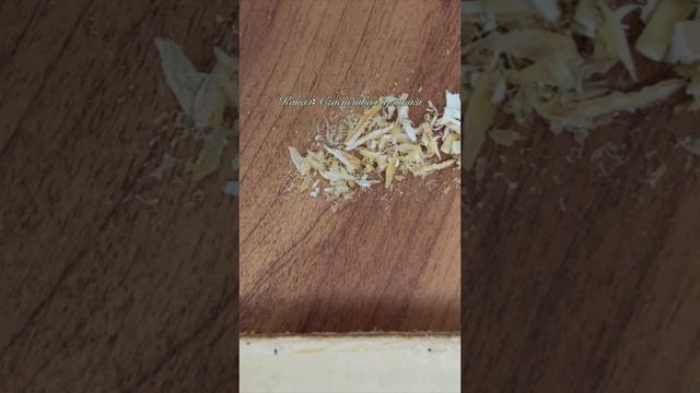 РЕМОНТ КНИГИ смотреть онлайн