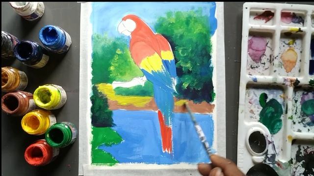 how to draw macaw bird easy step,how to draw a parrot step by step with poster color,birds drawing