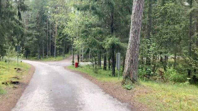 Новые требования к посылкам с 1 июля 2021. Как задекларировать посылку? Как не остаться без посылки смотреть онлайн