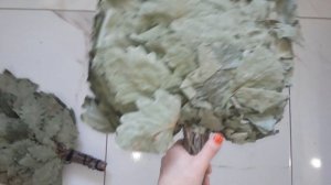 Веник из кавказского дуба